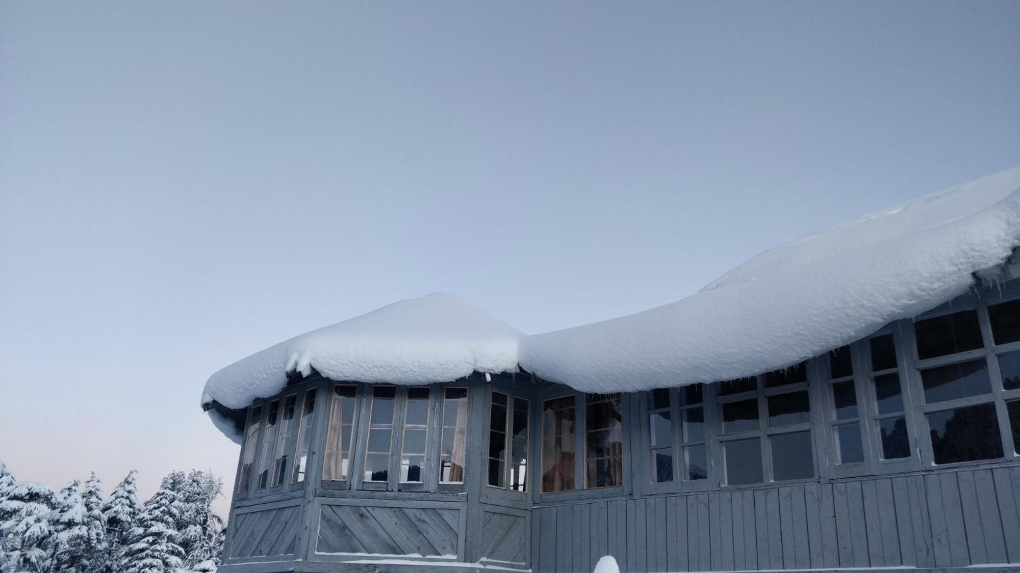 Black Bear Cottage Khajjiar エクステリア 写真