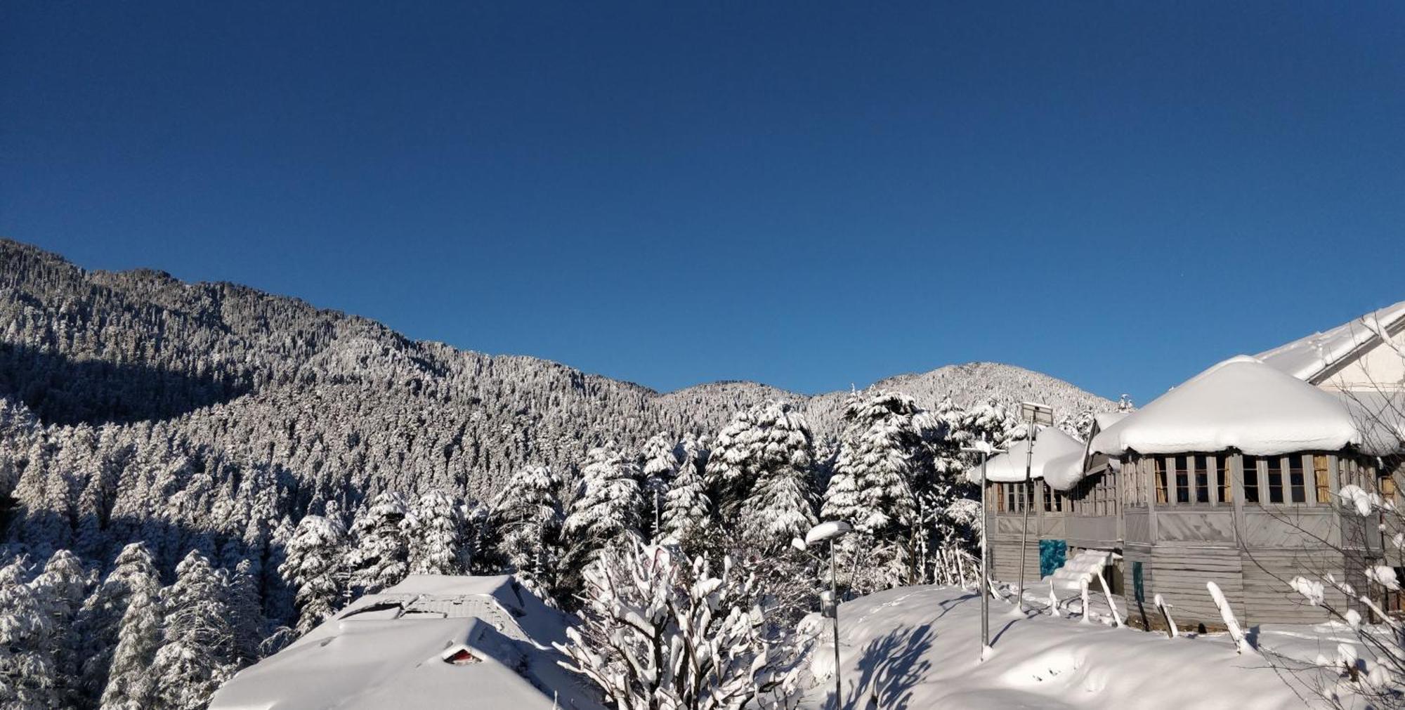 Black Bear Cottage Khajjiar エクステリア 写真