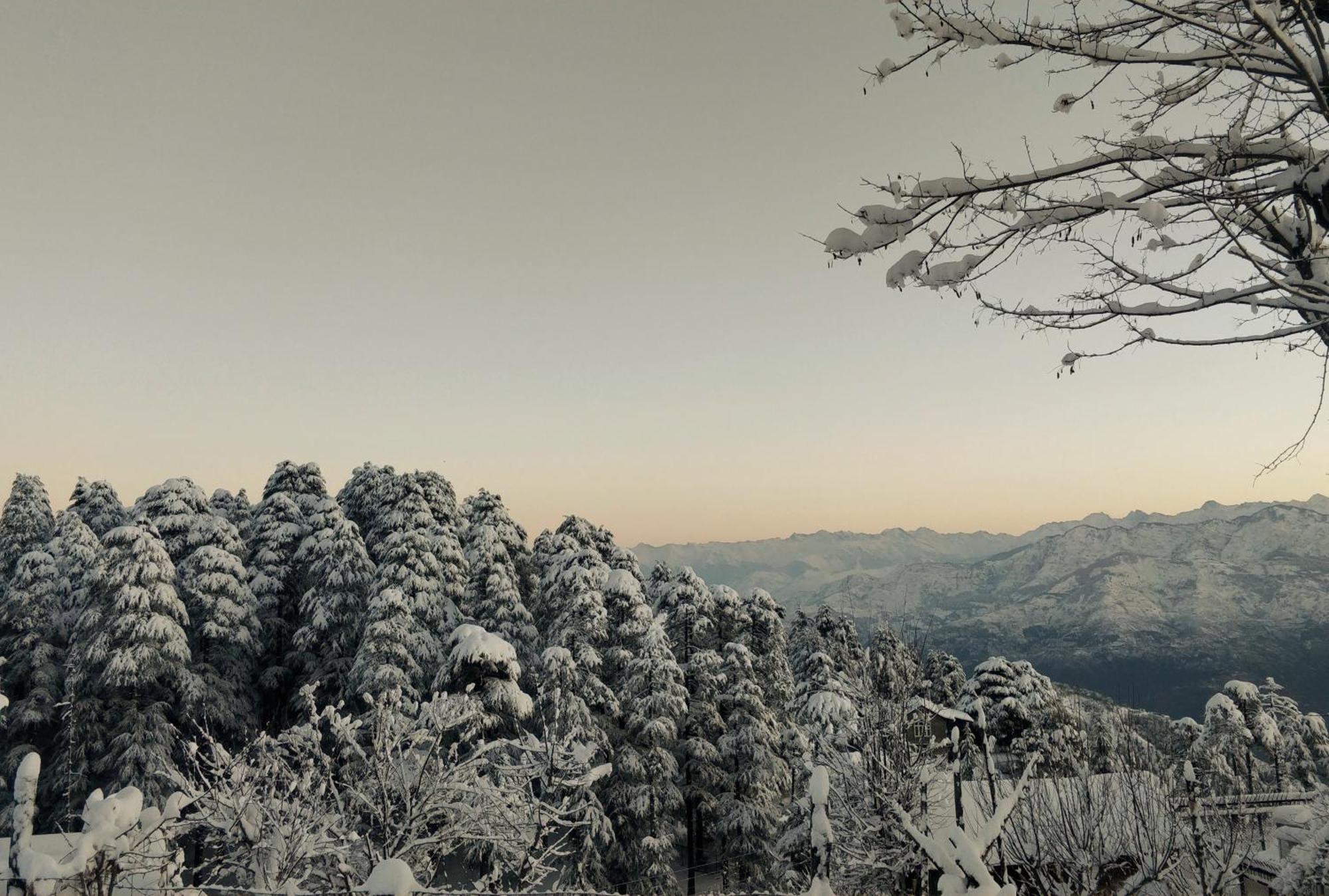 Black Bear Cottage Khajjiar エクステリア 写真